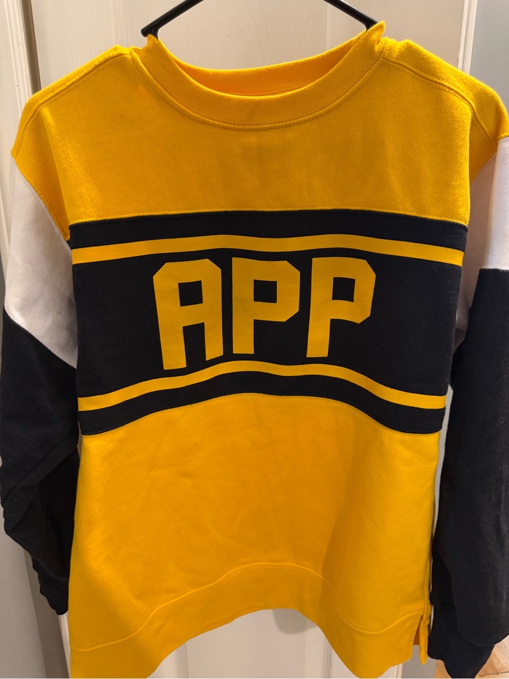 Appalachian State Colorblock Sweatshirt